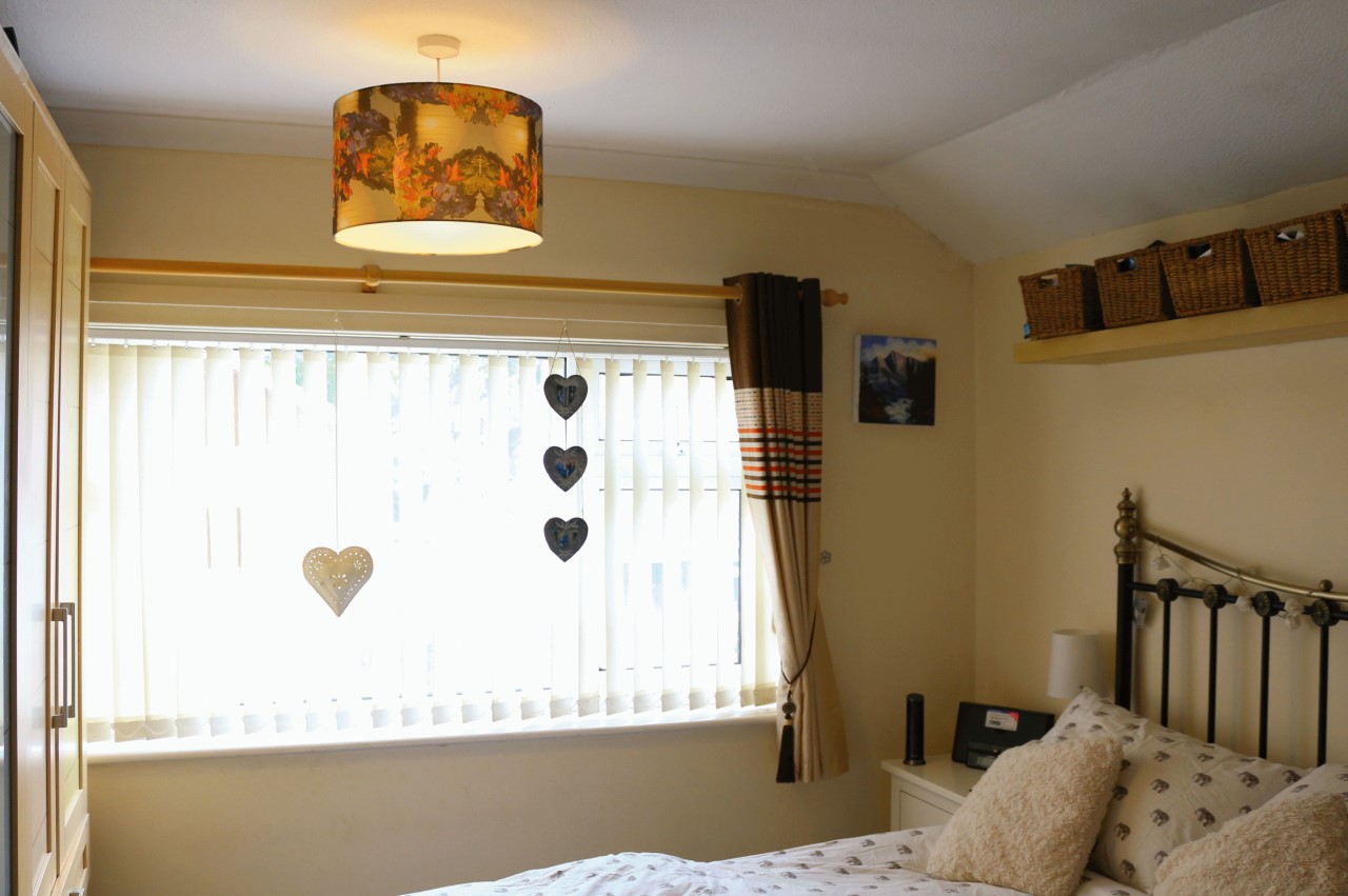 Sailing boats & Maple Tree